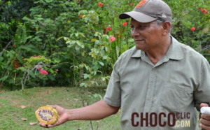 La pauvreté des fermiers du cacao