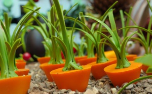 Edible bloom, jardinier ou chocolatier ?  