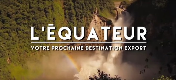 Le cacao en Equateur, une histoire de qualité