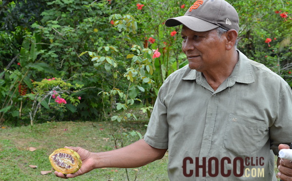 La pauvreté des fermiers du cacao