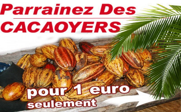 Parrainer 1 cacaoyer pour seulement 1euro !