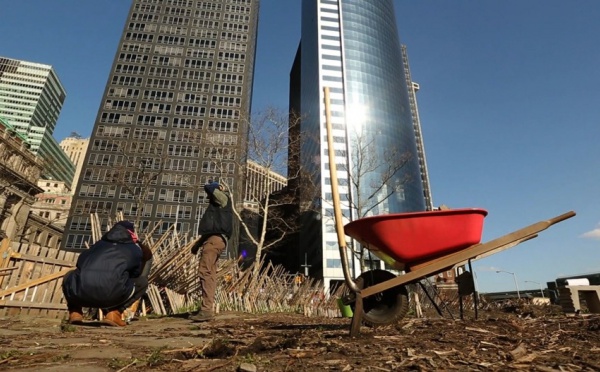 Bientôt un cacao pure origine NewYork avec les Urbain Culteurs ?