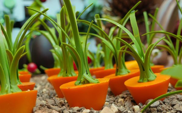 Edible bloom, jardinier ou chocolatier ?  