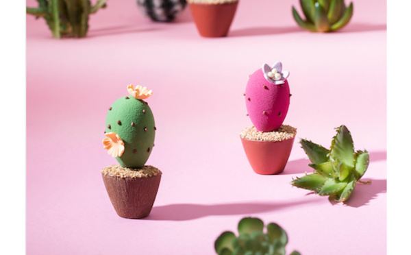 Des cactus soufflent un air d’été chez le chocolatier Lenôtre